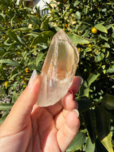 Load image into Gallery viewer, Raw Himalayan Quartz Crystal Point Pakistan Specimen Healing Reiki Decor A259