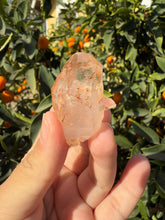 Load image into Gallery viewer, Red Mud Skeletal Quartz Crystal Point ,Red Mud Quartz ,#988