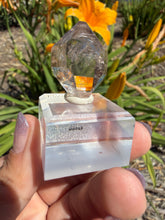 Load image into Gallery viewer, Natural Namibia Skeletal Enhydro Quartz Mineral Specimen w/ Moving Bubble,A479