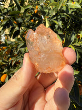 Load image into Gallery viewer, Red Mud Skeletal Quartz Point ,Red Mud Quartz ,#993