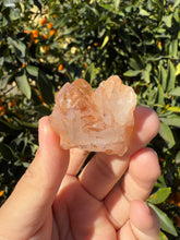 Load image into Gallery viewer, Red Mud Skeletal Quartz Crystal Point ,Red Mud Quartz ,#992