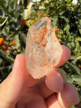 Load image into Gallery viewer, Red Mud Skeletal Quartz Crystal Point ,Red Mud Quartz ,#988