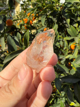 Load image into Gallery viewer, Red Mud Skeletal Quartz Crystal Point ,Red Mud Quartz ,#988