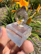Load image into Gallery viewer, Natural Namibia Skeletal Enhydro Quartz Mineral Specimen w/ Moving Bubble,A479
