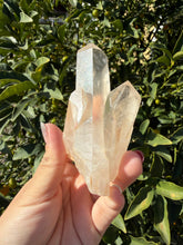 Load image into Gallery viewer, Clear Quartz Crystal Cluster,Natural Mineral Specimen,Raw Cluster,A244