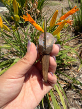 Load image into Gallery viewer, Deer Antler Crystal Wand,Black Tourmalinated Quartz Sphere Amethyst Wand