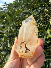 Load image into Gallery viewer, Raw Himalayan Quartz Crystal Point Pakistan Specimen Healing Reiki Decor A258