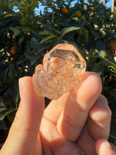 Load image into Gallery viewer, Red Mud Skeletal Quartz Crystal Point ,Red Mud Quartz ,#979
