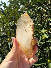 Load image into Gallery viewer, Raw Himalayan Quartz Crystal Point Pakistan Specimen Healing Reiki Decor A257