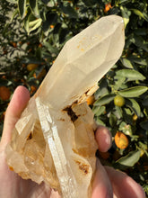 Load image into Gallery viewer, Large Raw Clear Quartz Cluster,A13