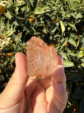 Load image into Gallery viewer, Red Mud Skeletal Quartz Crystal Point ,Red Mud Quartz ,#995