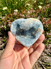 Load image into Gallery viewer, Celestite Geode Heart Blue Crystal Cluster Natural Raw Specimen Healing,A463