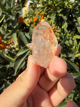 Load image into Gallery viewer, Red Mud Skeletal Quartz Crystal Point ,Red Mud Quartz ,#988