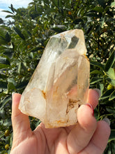 Load image into Gallery viewer, Raw Himalayan Quartz Crystal Point Pakistan Specimen Healing Reiki Decor A258