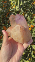 Load and play video in Gallery viewer, 703g Amethyst Quartz Cluster,Raw Clear Quartz Cluster