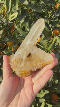 Load and play video in Gallery viewer, Large Raw Clear Quartz Cluster,A13