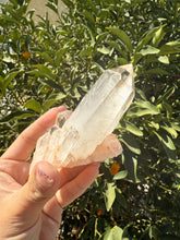 Load image into Gallery viewer, Natural Pineapple Quartz Cluster, Madagascar Candle Quartz, A93
