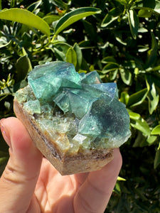 Green Cubic Fluorite Cluster, Fluorite Mineral Specimen C