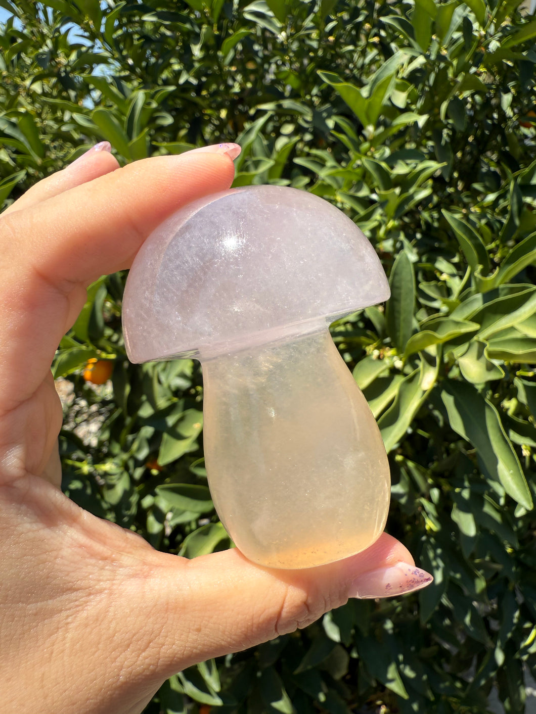 Large Natural Light Pink Fluorite Mushroom Crystal | Fluorite Mushroom Sculpture