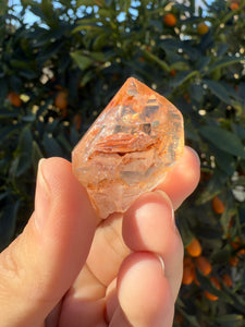 Red Mud Skeletal Quartz Crystal Point ,Red Mud Quartz ,#978