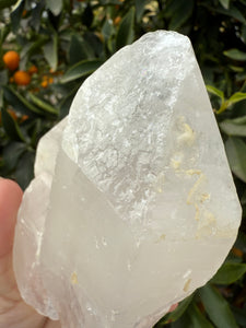 620g Himalayan Tabular Crystal Record-keeper Quartz Crystal from Pakistan