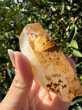 Load image into Gallery viewer, Raw Himalayan Quartz Crystal Point Pakistan Specimen Healing Reiki Decor A257
