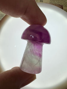 Mini Fluorite Mushroom Carving-1.43in