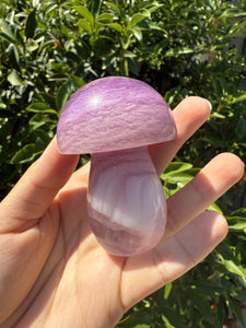Large Natural Purple White Fluorite Mushroom Crystal, A85