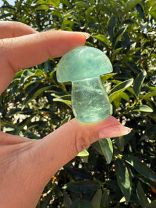 Small Green Kelp Fluorite Mushroom Carving-Fluorite Gemstone Mushroom,A139