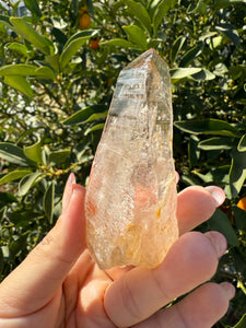 Trigonic Enhydro Quartz from Madagascar,Crystal Point with Water Inclusion,A100