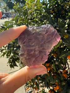 Grape Purple Cubic Fluorite Cluster, Healing Crystal Mineral Specimen