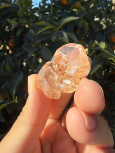 Red Mud Skeletal Quartz Crystal Point ,Red Mud Quartz ,#979