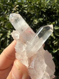 Clear quartz Natural Crystal Cluster