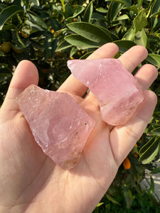 2pcs Natural Rose Quartz with Unique Tree