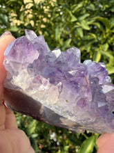 Load image into Gallery viewer, Natural Amethyst Cluster | Raw Crystal Specimen | Sparkling Lavender Quartz,A191
