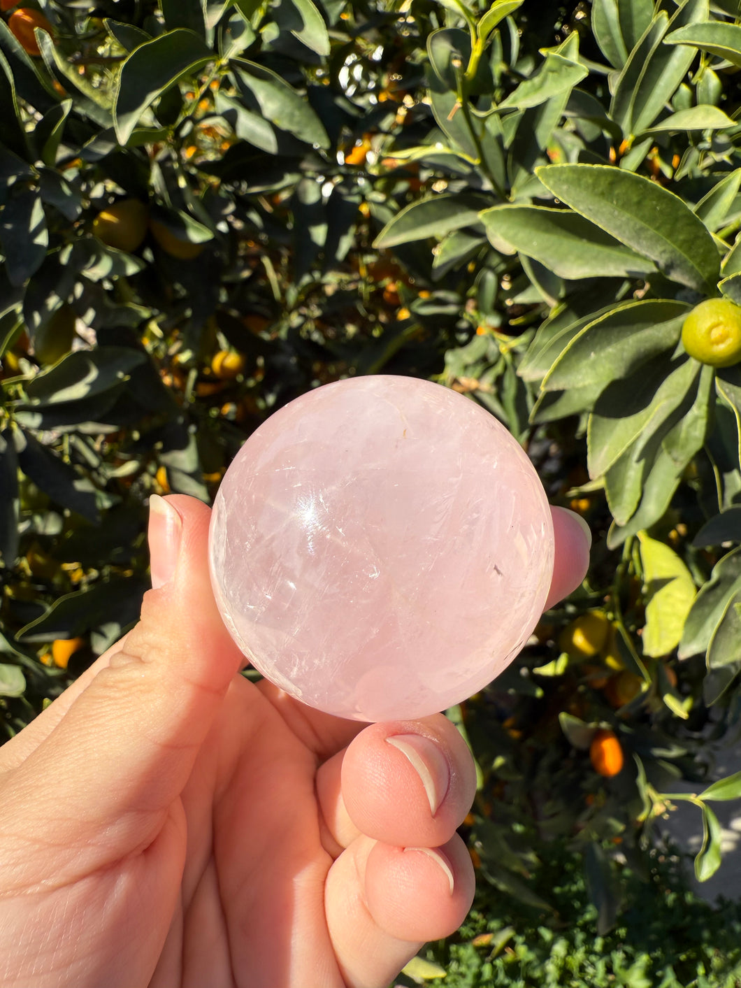 Big Sale!Gemmy Six Star Rose Quartz Sphere