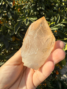 Raw Himalayan Quartz Crystal with Unique Natural Patterns