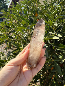 Trigonic Enhydro Quartz from Madagascar,Crystal Point with Water Inclusion,A101