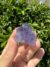 Load image into Gallery viewer, Mini Purple Cubic Fluorite Cluster,Mineral Specimen
