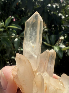 Small Raw Clear Quartz Cluster,96g