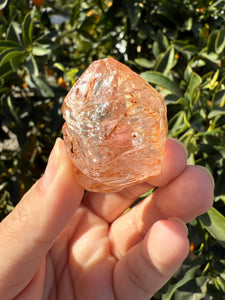 Red Mud Skeletal Quartz Crystal Point ,Petroleum Oil Quartz #02