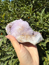 Load image into Gallery viewer, Natural Amethyst Geode with Agate Base, Raw Amethyst Crystal Cluster, A92
