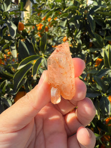 Red Mud Skeletal Quartz Crystal Point ,Red Mud Quartz ,#984