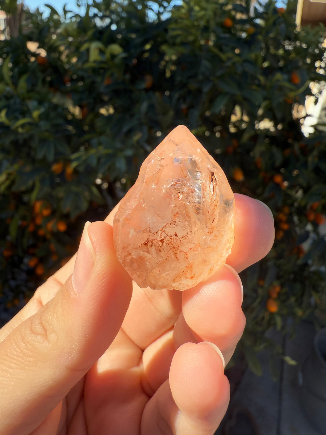 Red Mud Skeletal Quartz Crystal Point ,Red Mud Quartz,#974