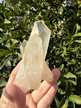 Load image into Gallery viewer, Clear Quartz Crystal Cluster,Natural Mineral Specimen,Raw Cluster,A244
