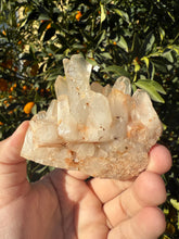 Load image into Gallery viewer, On Sale!Raw Clear Quartz Cluster,141.3g
