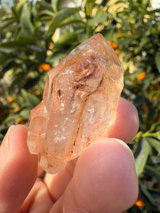 Red Mud Skeletal Quartz Crystal Point ,Red Mud Quartz,#987