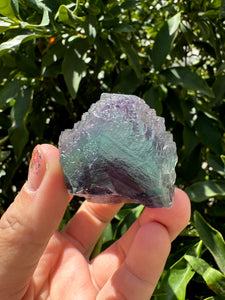 Purple green Gradient Fluorite Mineral Specimen