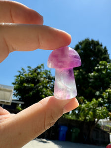 Mini Fluorite Mushroom Carving-1.43in