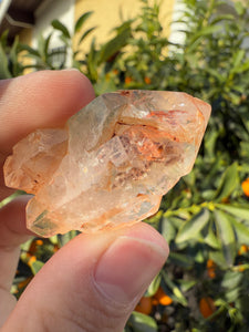 Red Mud Skeletal Quartz Crystal Point ,Red Mud Quartz,#987